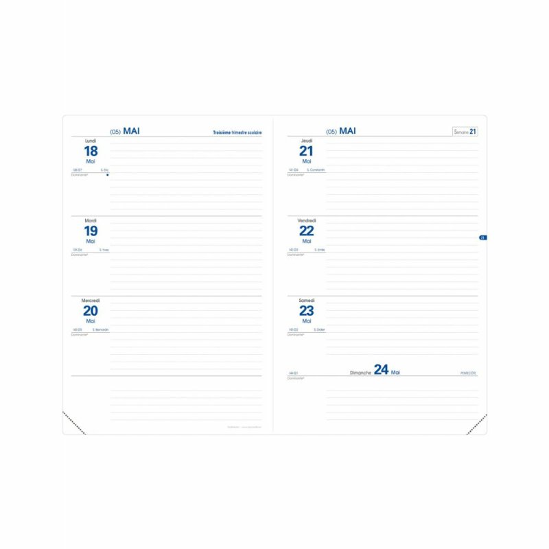 Quo Vadis 296215Q personal organizer