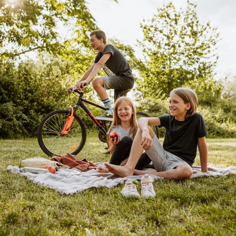 Tickless Active Automatique Répulsif pour insectes Adapté à une utilisation à l'intérieur Adapté à une