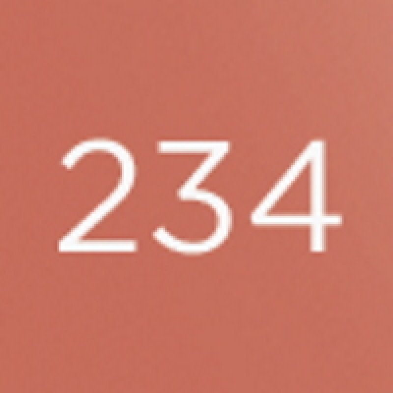 Diego dalla Palma Nail Polish, 234 Brick in the wall