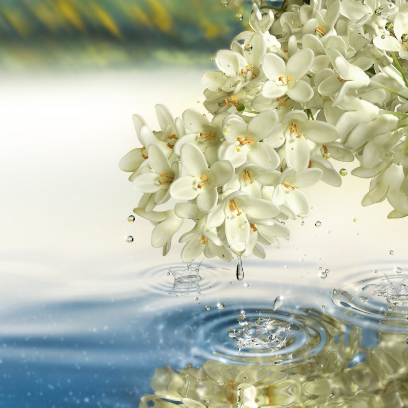 Estée Lauder Paradise Moon 100 ml Femmes