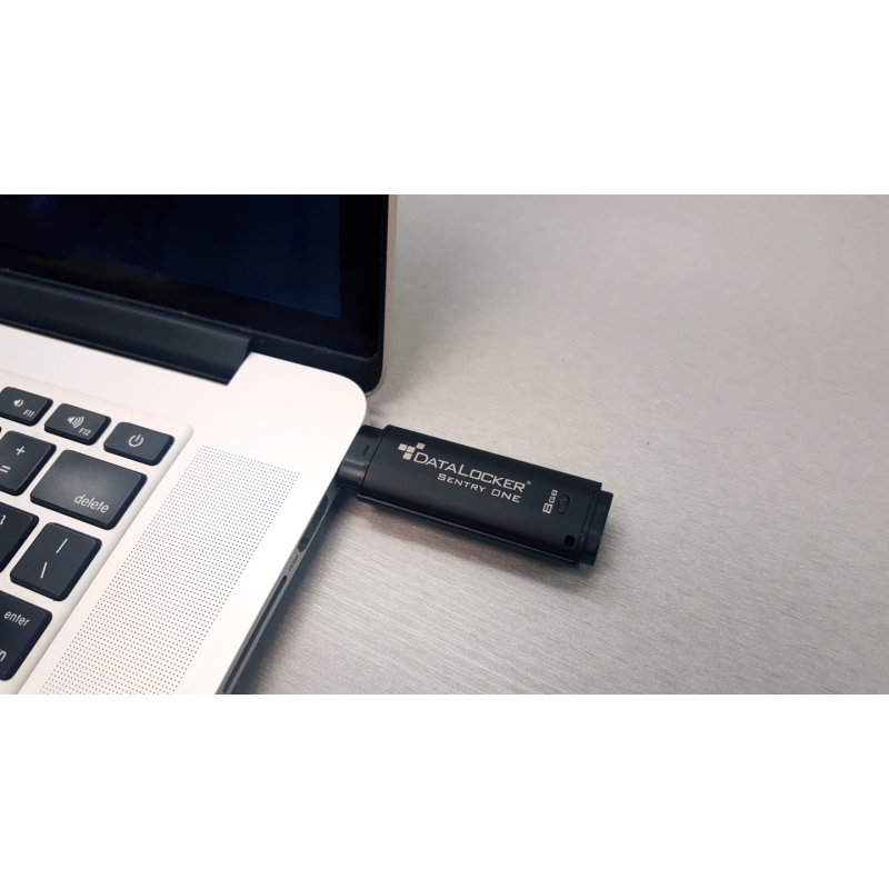 DataLocker Sentry One Managed Encrypted FIPS 140-2 Level 3 32GB Flash Drive