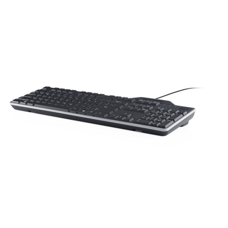 DELL KB813 clavier Bureau USB QWERTZ Tchèque, Slovaque Noir