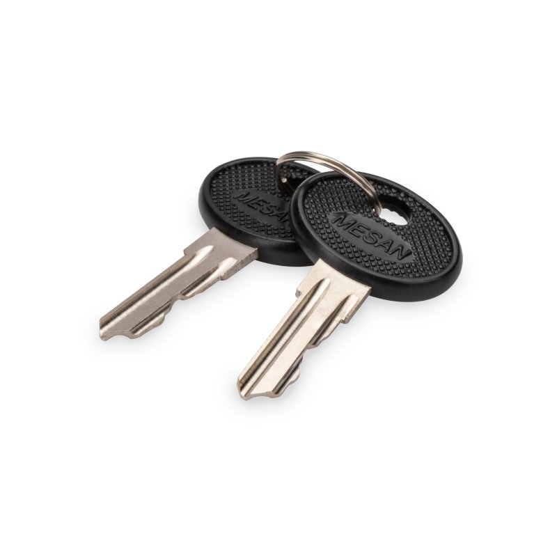 Digitus Clé pour boîtier mural SOHO PRO, DN-1019, DN-DVR-1