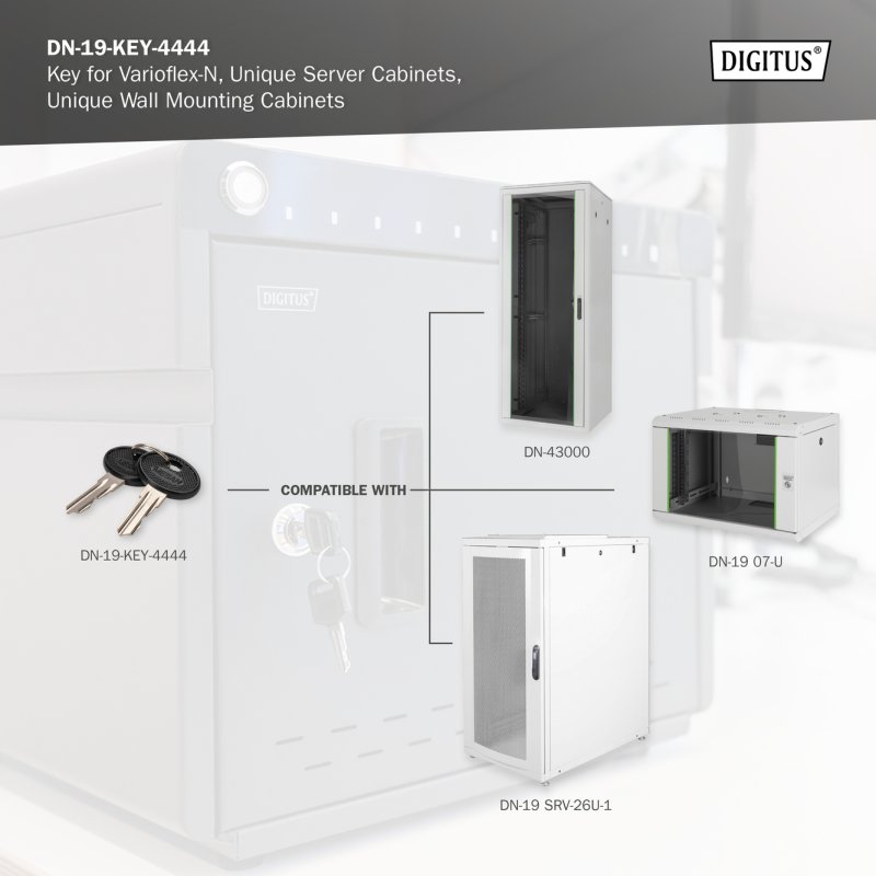 Digitus Clé pour boîtier mural SOHO PRO, DN-1019, DN-DVR-1