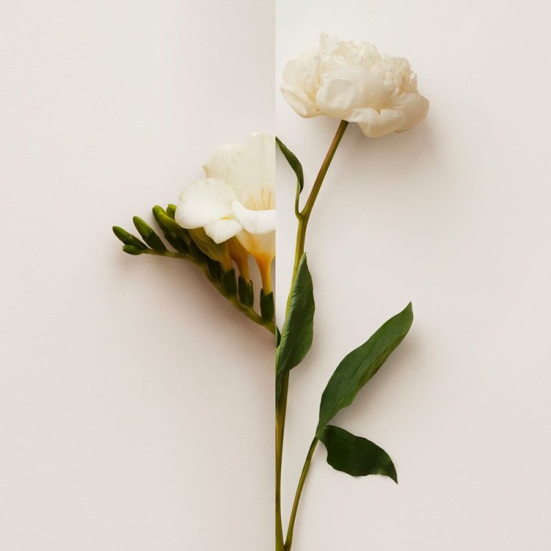 Burberry My Eau de Toilette Spray for Women 90ml