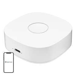 Smart home WS2GW-R WiFi