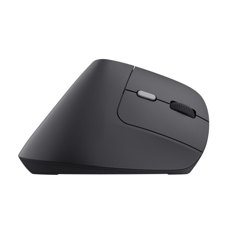 Trust TM-270 souris Bureau Droitier RF sans fil Optique 2400 DPI