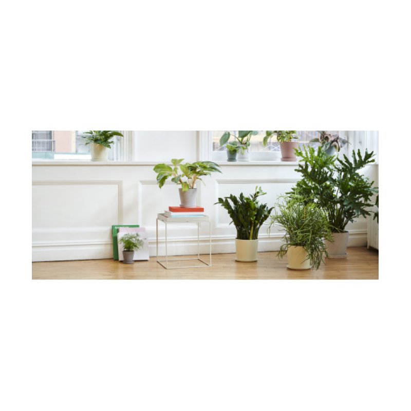 Hay 5710441036166 Table à café, latérale et de salon Table pour plantes Forme carrée 4 pieds