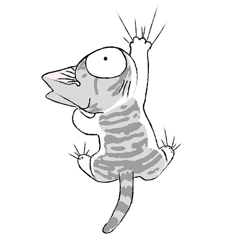 CHI - T-Shirt Chi Agrippé GIRL (XL)