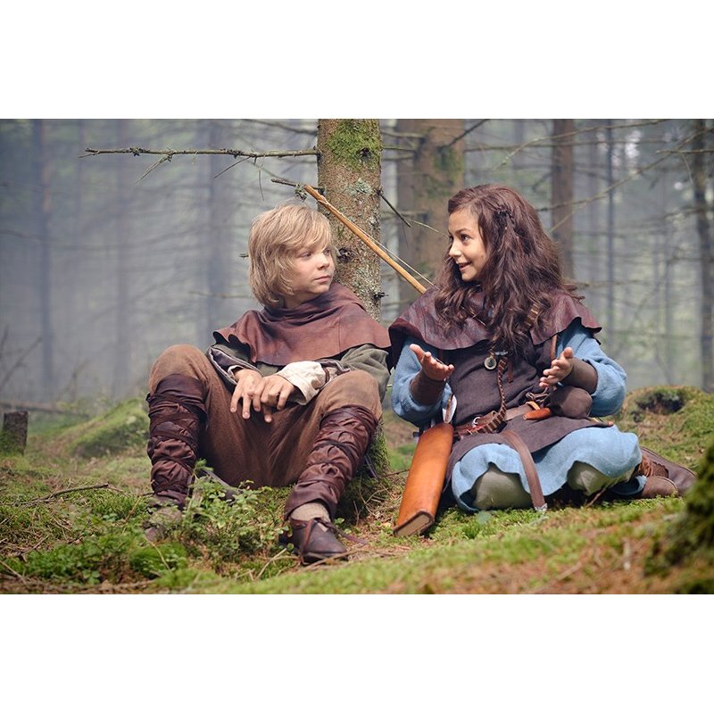 SF Studios Halvdan Viking DVD Suédois