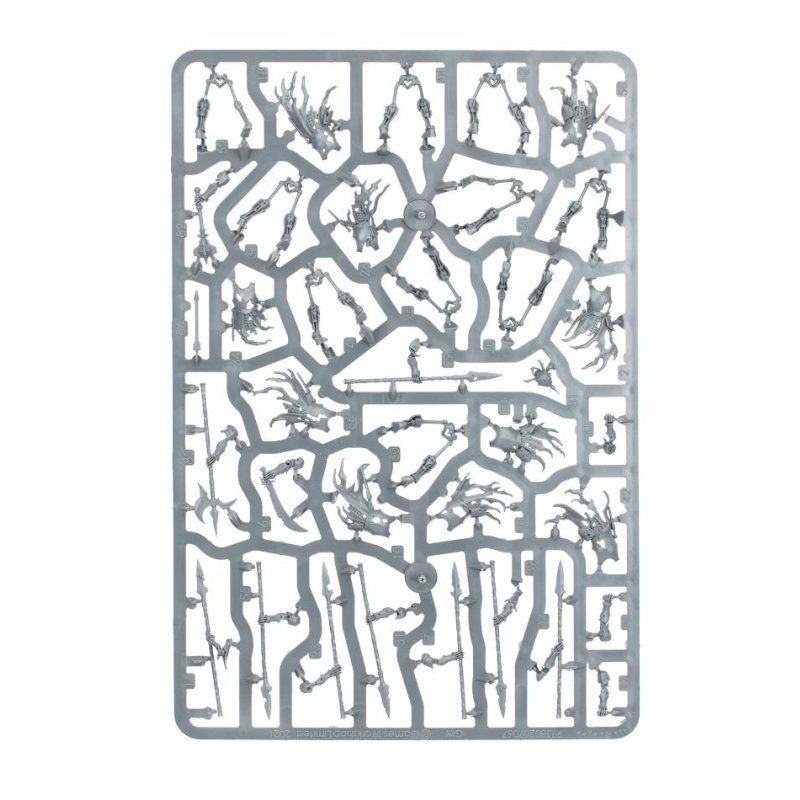 Warhammer AoS - Soulblight Gravelords Deathrattle Skeletons (2025)