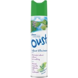 Oust Odour Eliminator Aerosol Air Freshener Outdoor Scent 300ml