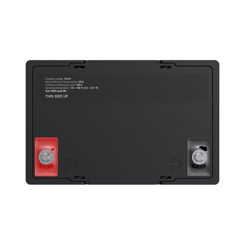 Green Cell LFPGC12V50AH Batterie de l'onduleur Phosphate de fer lithié (LiFePo4) 12 V 50 Ah