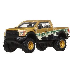 Hot Wheels Premium Car Culture Off Road '17 Ford F150 Raptor 1:64 Scale Collectible Toy Vehicle