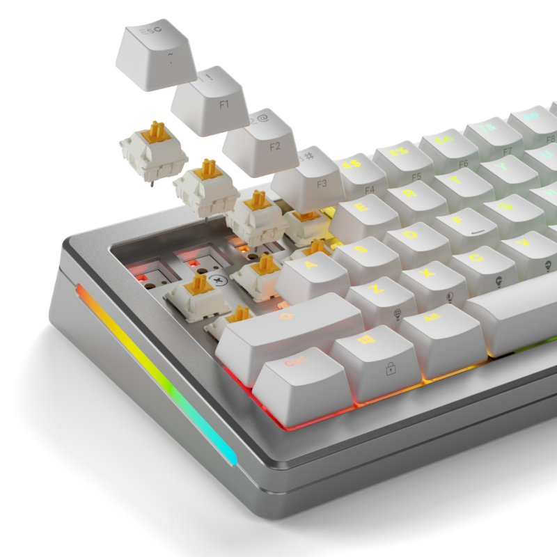 Glorious Gaming Glorious Panda Tactile Mechanical Switches - 36 Pieces