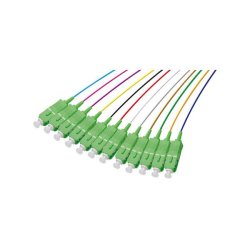 Set of 2m SC-APC G652D OS2 Low Loss 900µm 12 colours pigtails