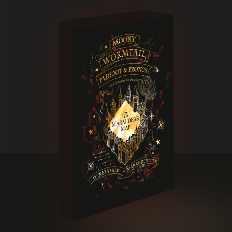HARRY POTTER - Carte du Maraudeur - Canvas Lumineux 40X30 Cm