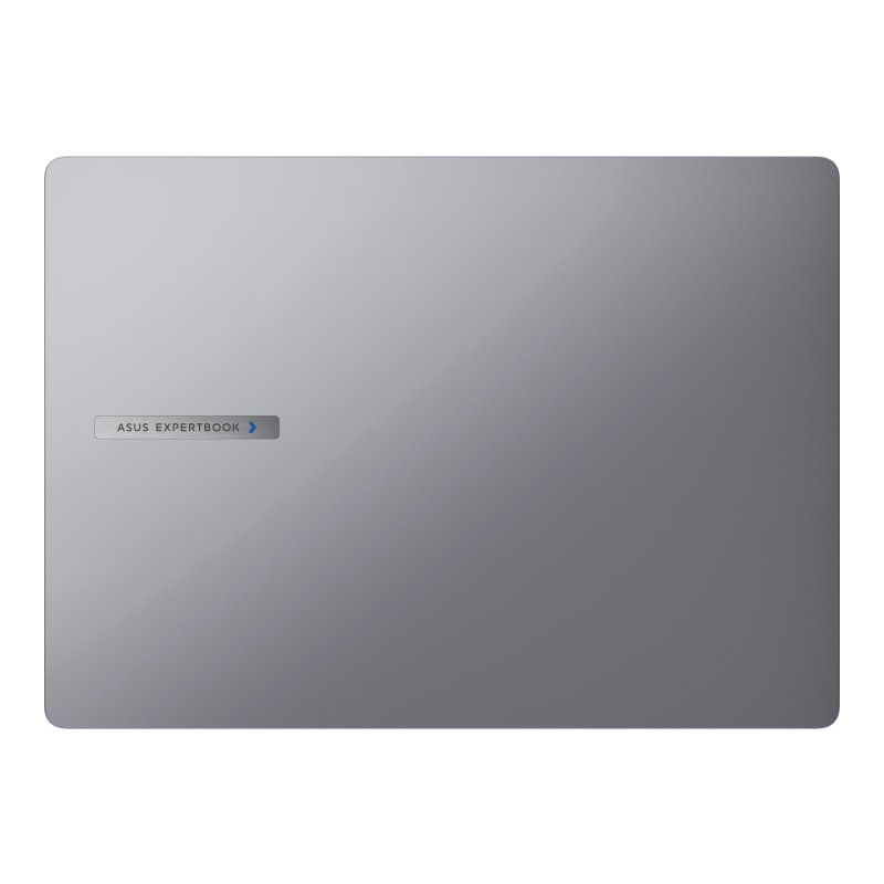 ASUS ExpertBook P3 P3405CVA-LY0046X