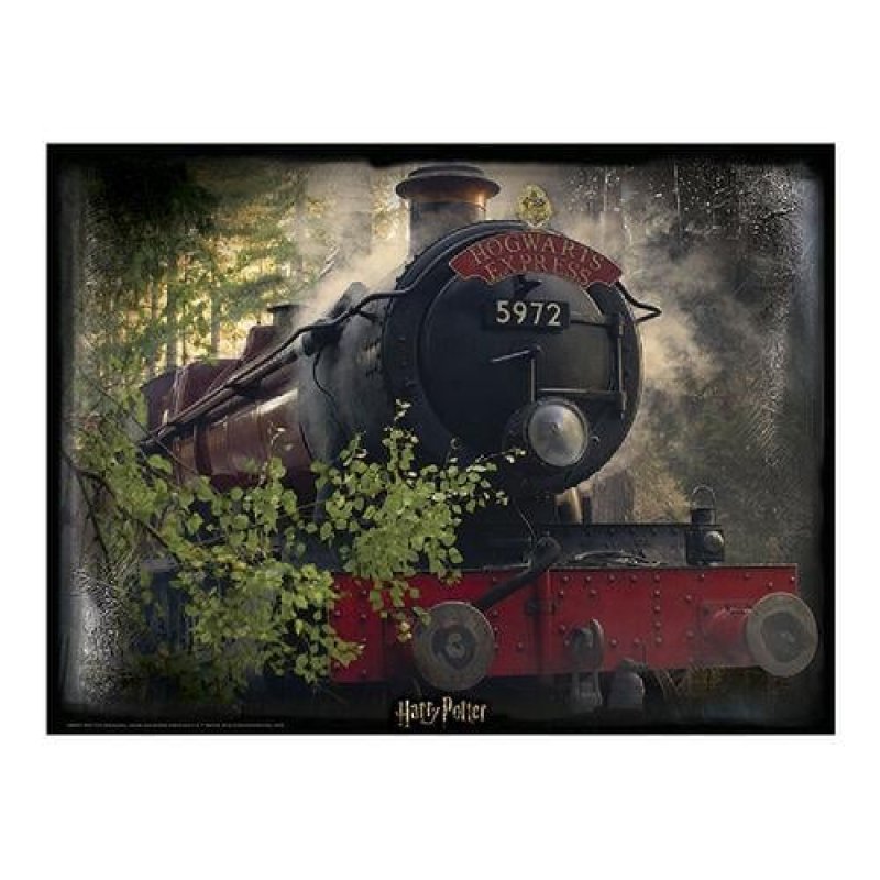 Harry Potter - Puzzle lenticulaire Poudlard Express 500 pcs 61x46 cm