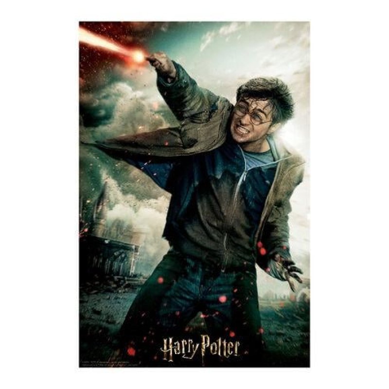 Harry Potter - Puzzle lenticulaire Harry Potter au combat 300 pcs 46x31 cm
