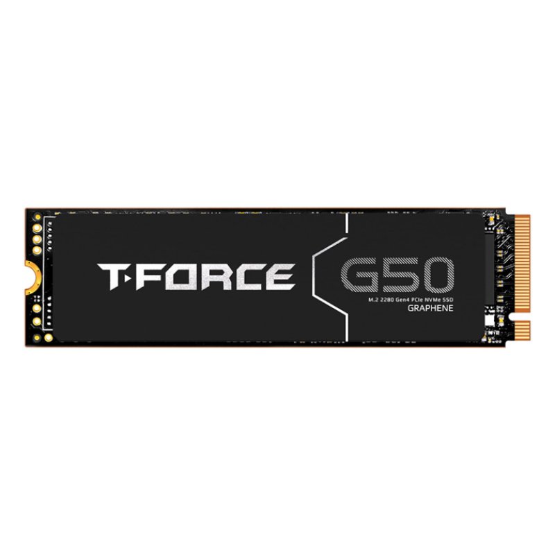 SSD 1TB 5,0/4,8G G50 M.2 PCIe TEM
