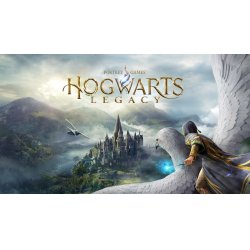 Hogwarts Legacy /Switch 2