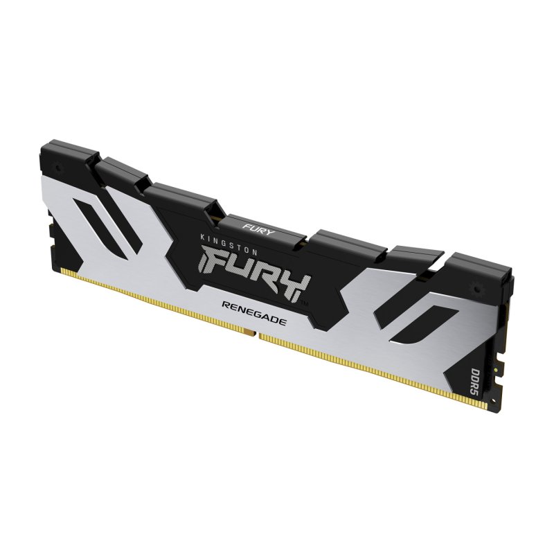 Kingston Technology FURY 24 Go 8000 MT/s DDR5 CL38 DIMM Renegade Silver