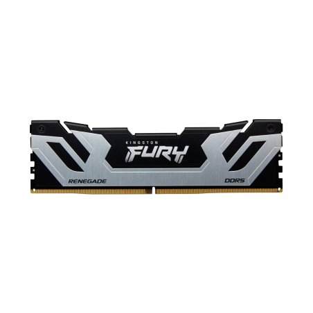 Kingston Technology FURY 24 Go 8800 MT/s DDR5 CL42 CUDIMM Renegade Silver