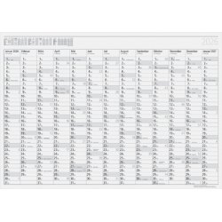 rido idé Wandkalender "Plakatkalender young design PLUS"