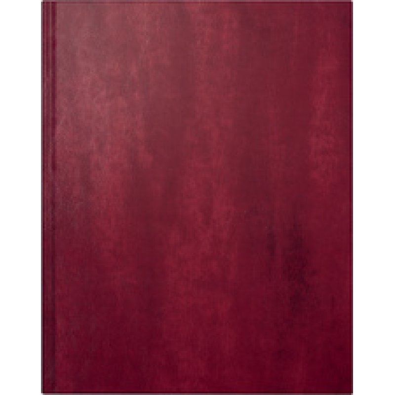 rido idé Buchkalender "Managerkalender TM Belnova", 2026