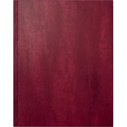 rido idé Buchkalender "Managerkalender TM Belnova", 2026