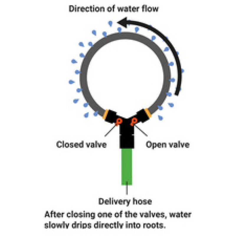 Bradas Anneau d'arrosage, vannes, tuyau poreux, 1/2", 1,5 m