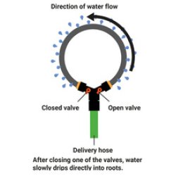 Bradas Anneau d'arrosage, vannes, tuyau poreux, 1/2", 3,0 m