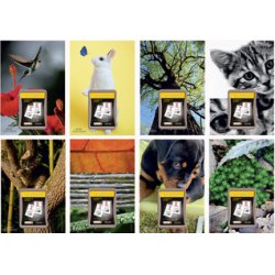 LECAS Calendrier éphéméride mural NATURE, bloc comique, 2026