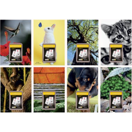 LECAS Calendrier éphéméride mural NATURE, bloc comique, 2026