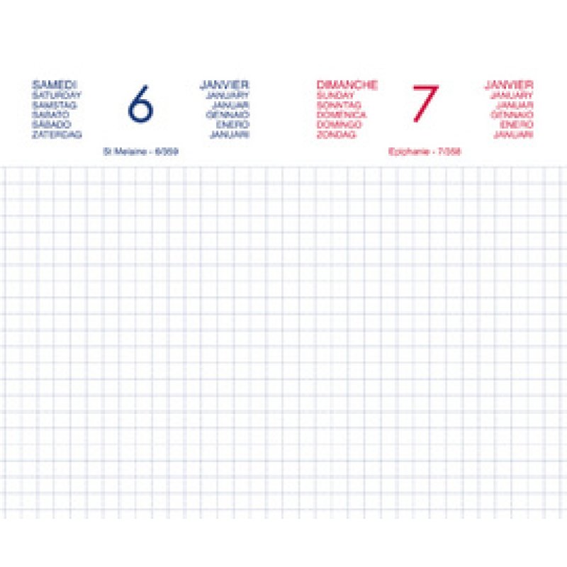 LECAS Agenda journalier Chantier, 2026, 90 x 150 mm, assorti