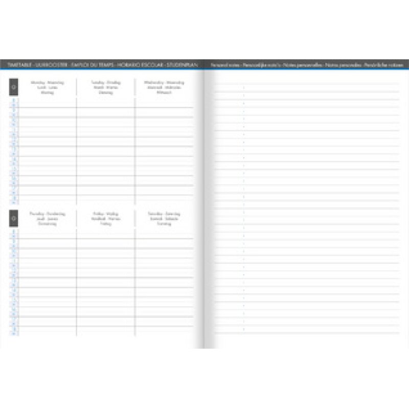 Clairefontaine Agenda scolaire "WHEN 21", 2025/2026, assorti