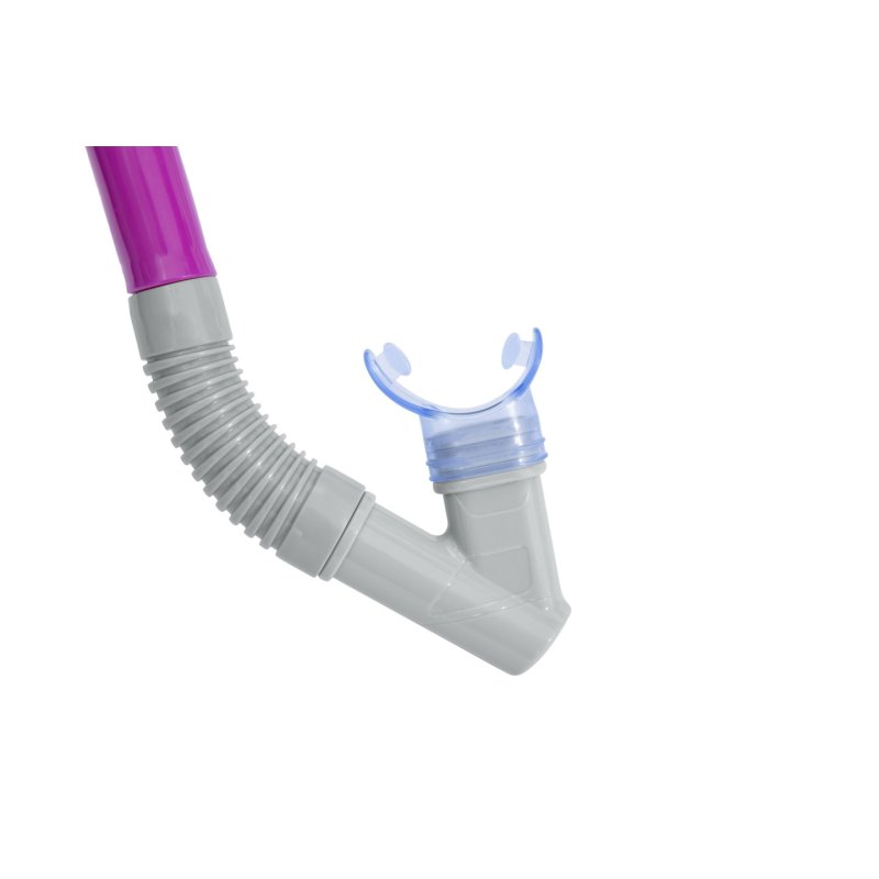 Masque Et Tuba Dominator Adulte - Modèle choisi aléatoirement