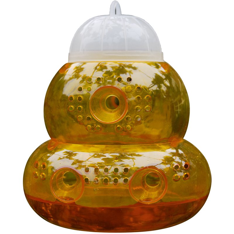 Piège à Guêpes 13x15,5Cm - Modèle choisi aléatoirement