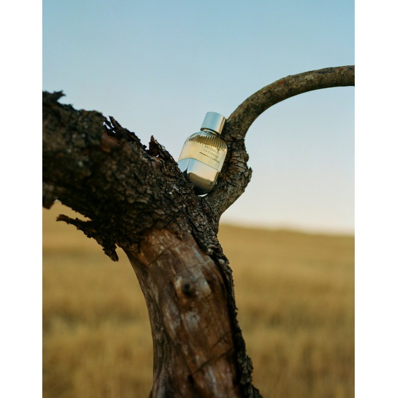 Brunello Cucinelli Pour Homme 100 ml Hommes