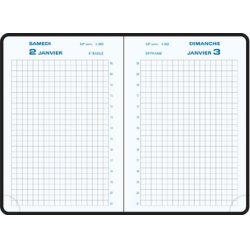 EXACOMPTA Agenda de poche Journal 13 Quadrillé 2026, assorti