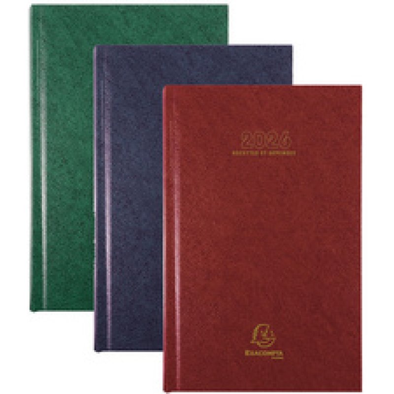 EXACOMPTA Agenda Carré Recettes/Dépenses, 2026, assorti