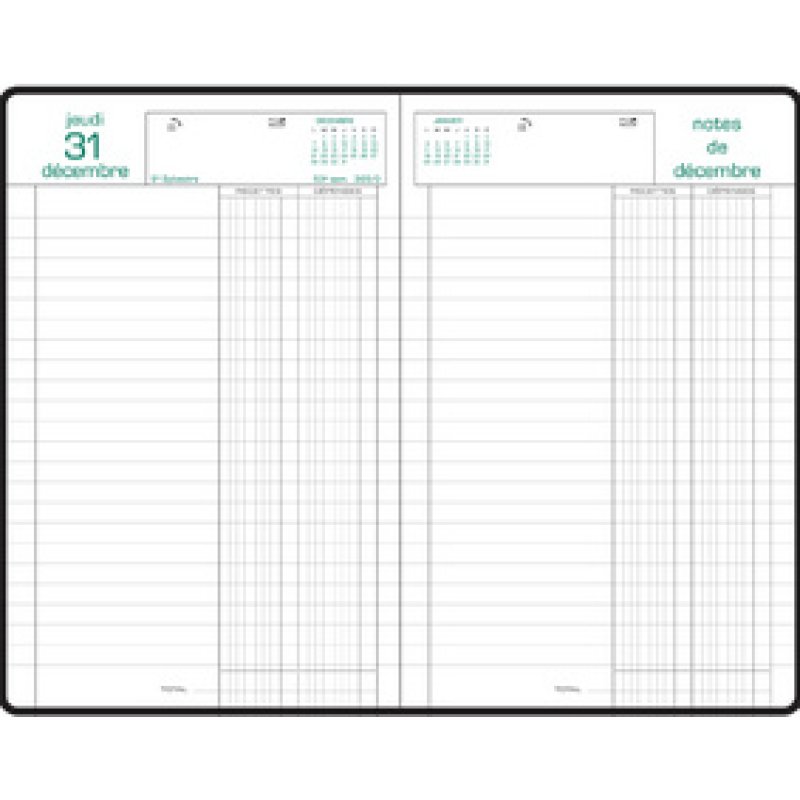 EXACOMPTA Agenda Carré Recettes/Dépenses, 2026, assorti