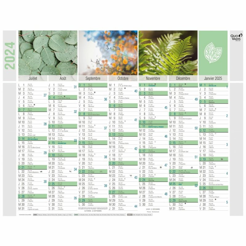 Quo Vadis 238503Q calendrier