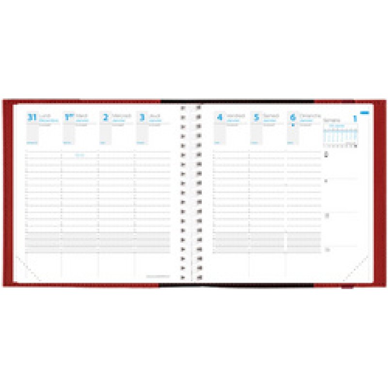 QUO VADIS Agenda Time & Life Medium, 2026, blanc