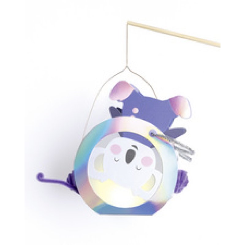 folia Kit de lanterne SPACE SAFARI, irisé métallisé