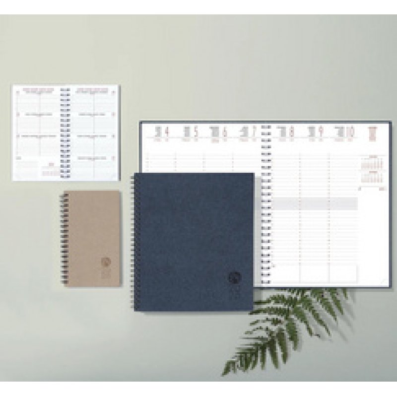 EXACOMPTA Agenda de bureau "Consultations 29 S", 2026, bleu