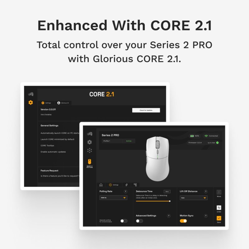 Glorious Series 2 PRO Wireless Gaming Maus - schwarz