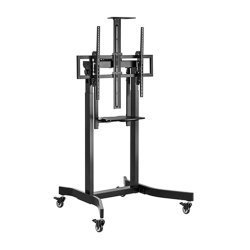Gembird Stojak pod tv z regulacj wysokoci mobilny 55-100 cali