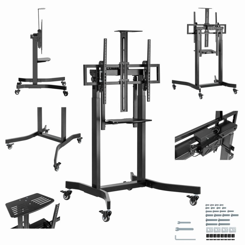 Gembird Stojak pod tv z regulacj wysokoci mobilny 55-100 cali